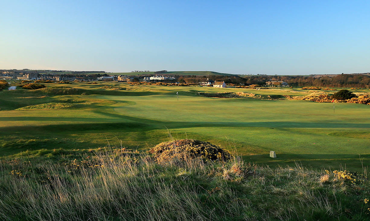 The huge green shared by the fifth and 13th